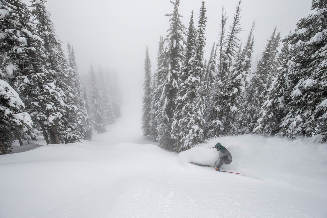 Dinosaurs, flamingos and bears, oh my! Aspen Highlands closing