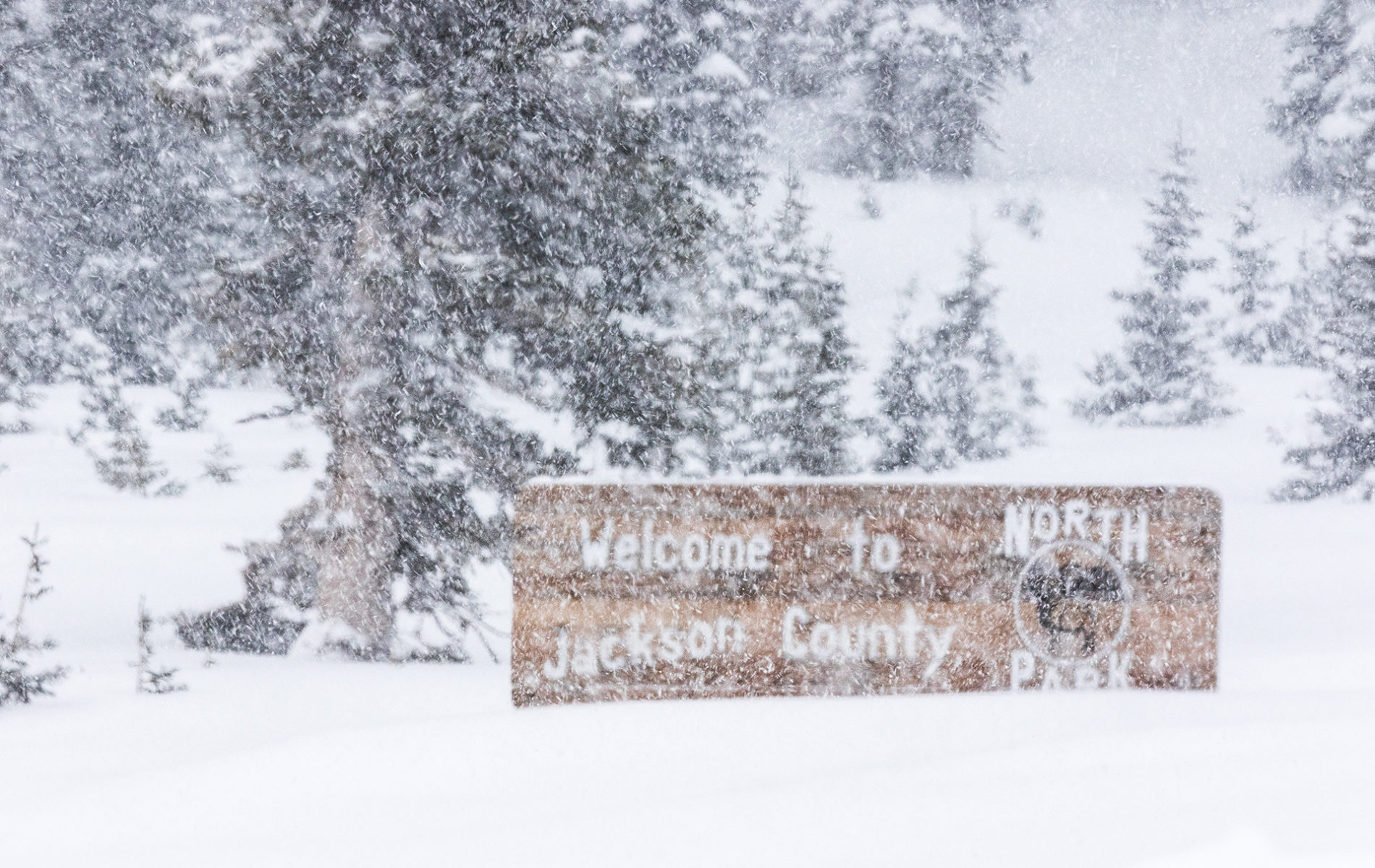 VC6A0690 The storm intensified the further we pushed west, and by the time we hit the trailhead, we were in a snow globe.