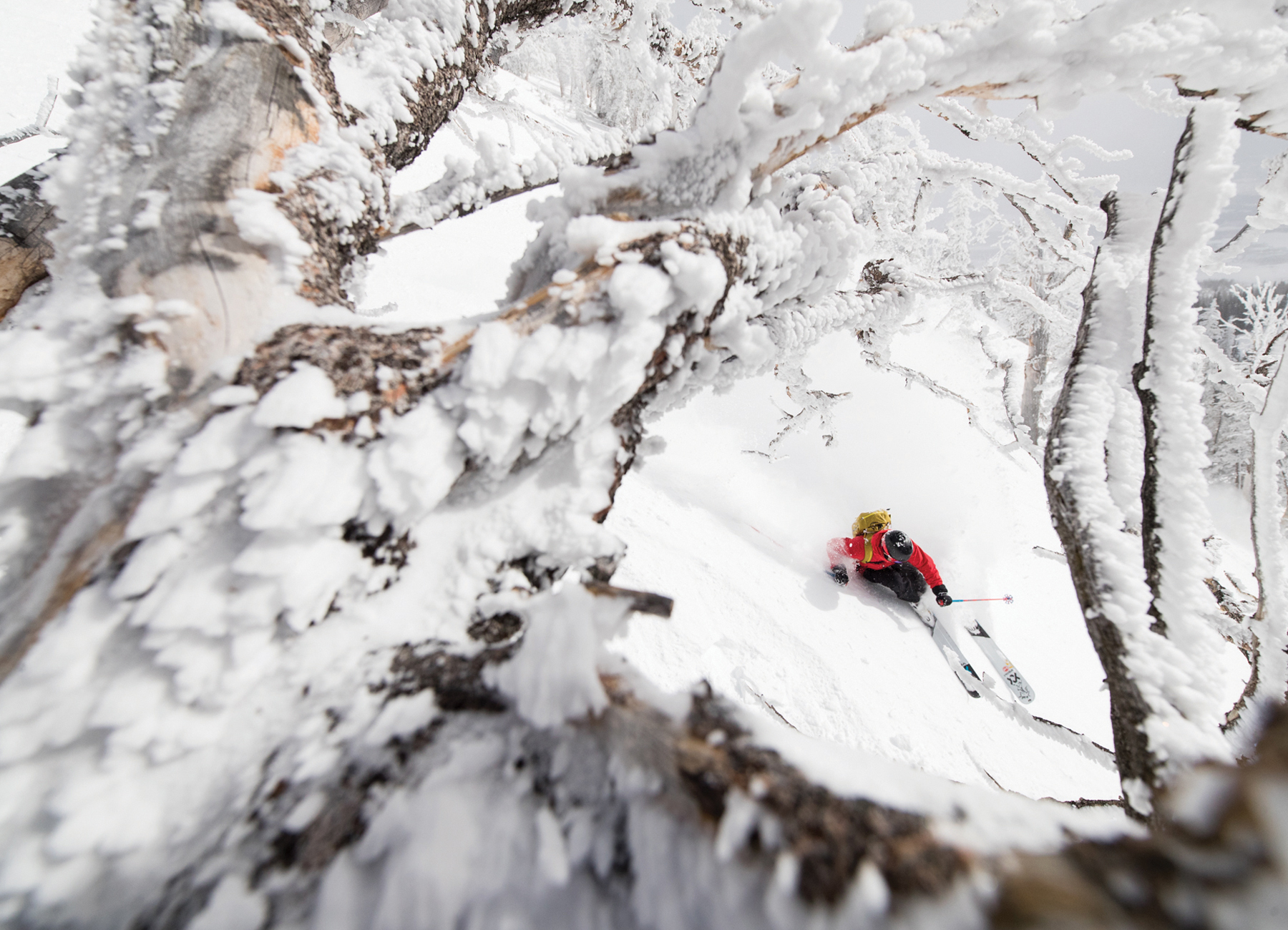 The best photos of FREESKIER Volume 21, Part IV | FREESKIER