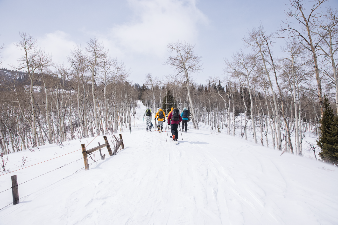 [Gallery] FREESKIER's Backcountry Ski Test Takes Over Bluebird ...